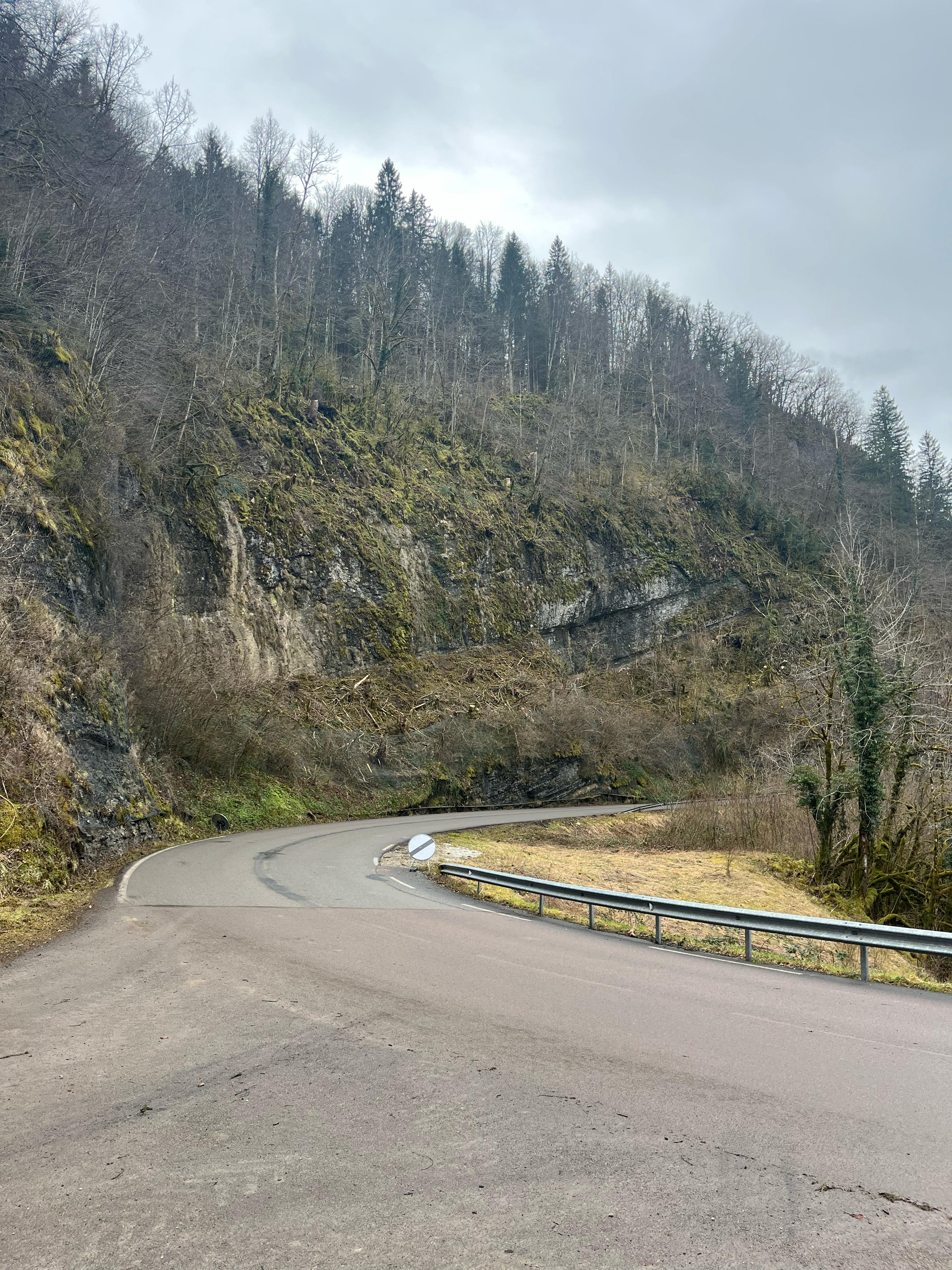 Sécurisation de falaise par élagage dans le Jura — SAS POLYVIER